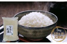 【12ヶ月連続お届け】八ヶ岳で育った精米 ゆめしなの5kg