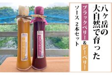 八ヶ岳の大自然で育ったブラックベリー&シーベリーソース2本セット