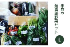 2025年度先行予約【種to菜園】季節の無農薬野菜　Lセット