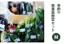 2025年度先行予約【種to菜園】季節の無農薬野菜　Ｍセット