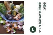 2025年度先行予約【種to菜園】季節の無農薬変り野菜　Lセット