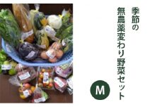 2025年度先行予約【種to菜園】季節の無農薬変わり野菜　Ｍセット