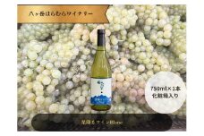 八ヶ岳はらむらワイナリー 星降るワイン Blanc 箱入り 1本
