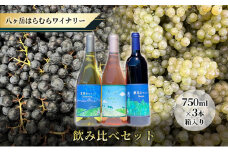 八ヶ岳はらむらワイナリー 飲み比べ 3本セット 箱入り