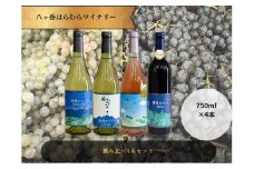 八ヶ岳はらむらワイナリー 飲み比べ 4本セット 