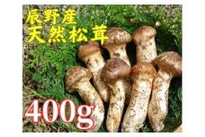 061 辰野産 天然松茸 400g