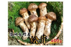 061 辰野産 天然松茸 400g
