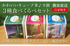 034 キューブ米♪3種食べ比べセット（全9個）