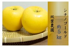 166 先行予約 りんご シナノゴールド ５㎏ 【双葉農園】