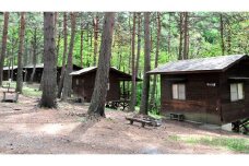 191 国の天然記念物であるシダレグリ自生地のもとでキャンプ＆BBQ！（最大5名）