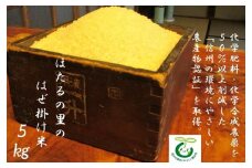 217 先行予約！ほたるの里の はぜ掛け米 5ｋｇ 合鴨農法 /ほたるの里農園/ 令和7年産 数量限定 低農薬 認定米 長野県原産地呼称管理委員会 令和6年度 合格 農家直送 精米後すぐ発送 白米