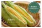 信州の環境に優しい農産物認定取得済み