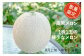 1株に1玉しかつけない贅沢な栽培方法です