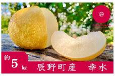 227 先行予約! 梨 幸水 ５㎏ 【野澤フルーツ農園】９月初・中発送　数量限定
