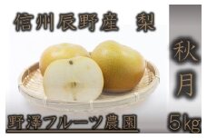 229 先行予約 ジューシー梨 秋月 ５㎏ 【野澤フルーツ農園】10月上旬～中旬発送