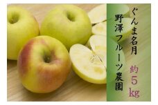 230 先行予約 りんご 名月 ５㎏  【野澤フルーツ農園】11月中旬以降発送