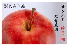 237 先行予約 ※訳あり品 りんご サンふじ ５kg【双葉農園】