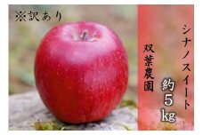 238 先行予約 ※訳あり りんご シナノスイート ５㎏ 【双葉農園】