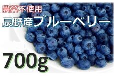 240 農薬不使用！！中村さんの国産ブルーベリー 700ℊ 数量限定！すぐ発送します！！　もう少しで受付終了します。お申込みは、お早目にお願いします。