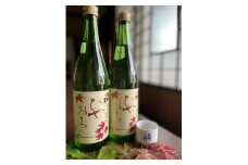 267 秋の限定酒！夜明け前純米吟醸「ひやおろし」2本セット