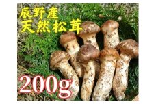 063 辰野産 天然松茸 200g