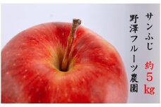 276 先行予約 りんご サンふじ５㎏【野澤フルーツ農園】