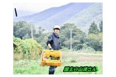 279 肥料なし・農薬不使用の栽培 お野菜詰め合わせボックス