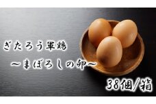 293 幻の卵 ぎたろう軍鶏の 生みたてたまご 38個