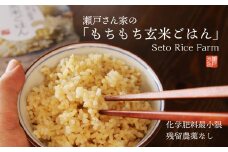 318 瀬戸さん家の「もちもち玄米ごはん」 美味しいごはんパック