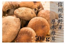 321 原木椎茸