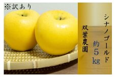 265 先行予約 ※訳あり りんご シナノゴールド ５㎏ 【双葉農園】