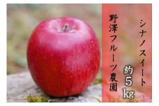 379 先行予約 りんご シナノスイート 5㎏ 【野澤フルーツ農園】