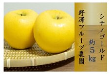 385 先行予約 りんご シナノゴールド ５㎏ 【野澤フルーツ農園】