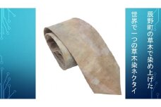 393 辰野の素材で手染めした草木染め ネクタイ【オンリーワン】