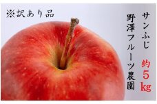 395 先行予約 ※訳あり りんご サンふじ ５㎏ 【野澤フルーツ農園】