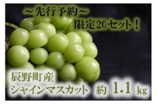 407 先行予約【ご家庭用】シャインマスカット 約1.1ｋｇ 2～3房 ※9月～10月発送予定　農家直送