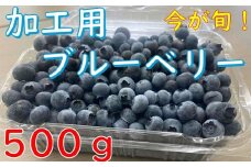 440 辰野産 加工用 ブルーベリー 500ｇ