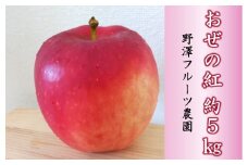 446 先行予約【贈答用】りんご おぜの紅 5㎏ 【野澤フルーツ農園】 ９月中旬発送