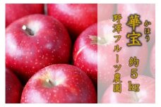 446 先行予約【贈答用】りんご 華宝5㎏【野澤フルーツ農園】