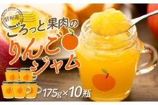 限定！ごろっと果肉りんごジャム10瓶セット りんご リンゴ 林檎 長野 フルーツ 果物 ジャム 手作り 信州産 長野県産 特産 産地直送 おすすめ　[№5675-1045]