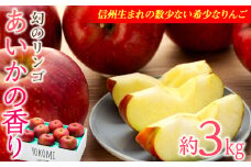  りんご あいかの香り 約3kg セット 2025年 令和7年度発送分 リンゴ 林檎 長野 フルーツ 果物 信州産 長野県産 特産 産地直送 おすすめ　[№5675-1070]