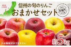 【2025年/令和7年度発送分 】信州の旬のりんご おまかせ 約5kg りんご リンゴ 林檎 長野 フルーツ 果物 信州産 長野県産 特産 産地直送 おすすめ 　[№5675-1071]
