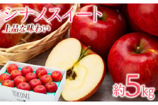 【2025年/令和7年度発送分！】信州りんごシナノスイート約5kg りんご リンゴ 林檎 長野 フルーツ 果物 信州産 長野県産 特産 産地直送 おすすめ 　[№5675-1072]