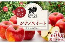 信州りんご シナノスイート 5kg ※クレジット決済限定 りんご リンゴ 林檎 長野 フルーツ 果物 信州産 長野県産 特産 産地直送 おすすめ　[№5675-1077] 