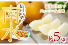  梨 南水 約5kg 2025年 令和7年発送分 信州の梨 フルーツ 果物 デザート なし ナシ なんすい ナンスイ 産地直送 長野県 信州産 　[№5675-1100]