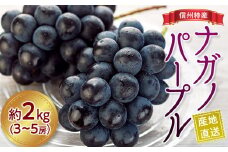 ぶどう ナガノパープル 2kg 3～5房 葡萄 ブドウ 長野パープル 果物 くだもの フルーツ 旬の果物 旬のフルーツ 信州 長野 長野県 ※着日指定不可 ※オンライン決済限定 [№5675-1105]