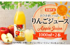 おひさまいっぱいりんごジュース 1000ml×2本 リンゴジュース りんご リンゴ 林檎 サンふじ 長野 フルーツ 果物 信州産 長野県産 特産 産地直送 おすすめ　[№5675-1106] 