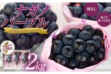 ぶどう ナガノパープル 2kg 葡萄 ブドウ 長野パープル 果物 くだもの フルーツ 旬の果物 旬のフルーツ 信州 長野 長野県 [№5675-1158]