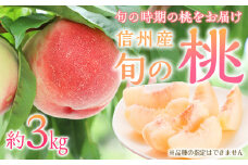 もも 3kg 11玉以上 信州のもも 桃 モモ 果物 くだもの フルーツ 旬の果物 旬のフルーツ 信州 あかつき 白桃 白根白桃 黄金桃 川中島白桃 信州 長野 長野県 [№5675-1159]
