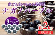 ぶどう ナガノパープル 粒パック 約2kg 皮ごと食べられる黒葡萄  葡萄 ぶどう ブドウ 長野 フルーツ 果物 信州産 長野県産 特産 産地直送 おすすめ デザート 　[№5675-1166]